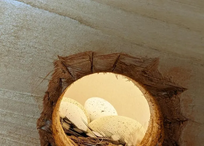 Apartman Spechtnest *